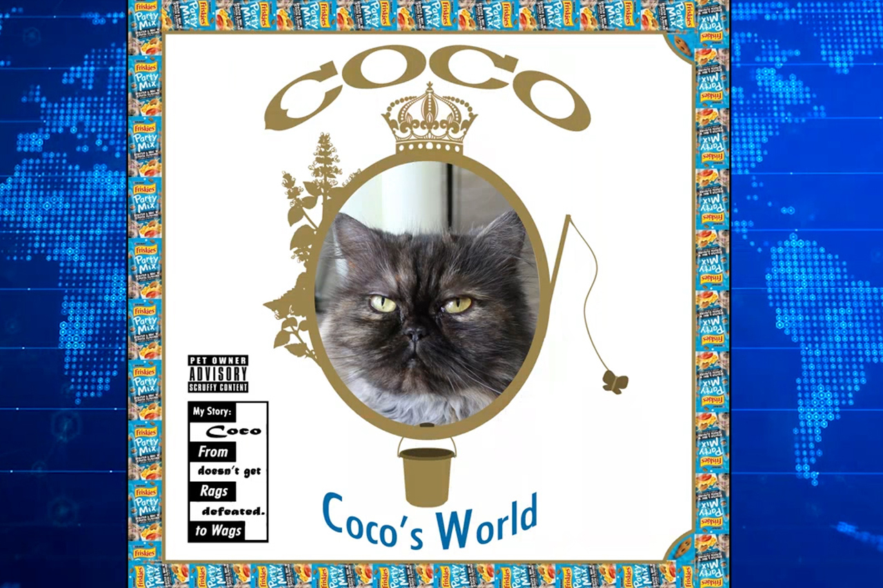 “Coco’s World” – Coco the Cat